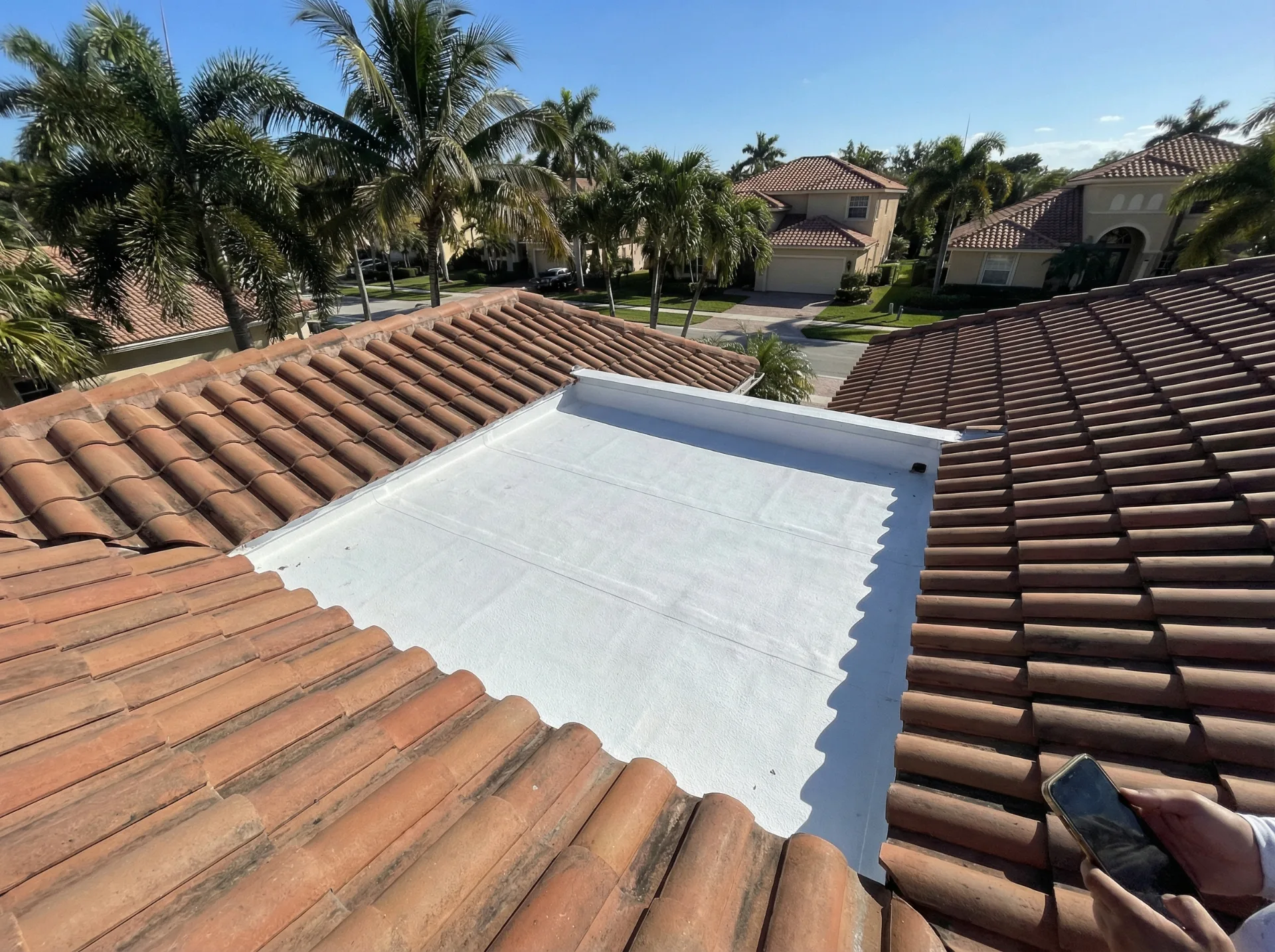 Coral Gables Trees and Your Roof: Trimming Rules
